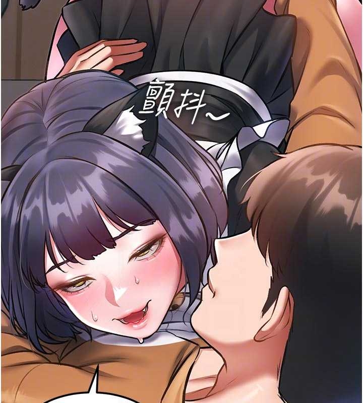 特色新視界第17話-馴服野貓守則