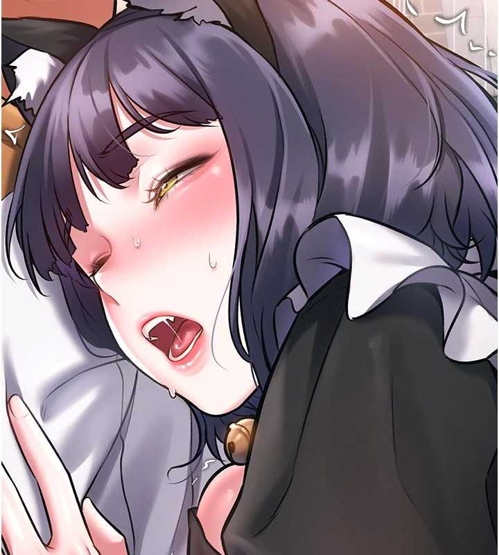 特色新視界第17話-馴服野貓守則