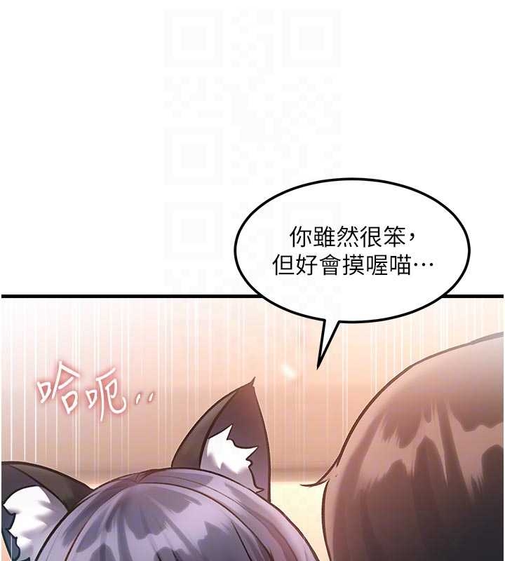 特色新視界第17話-馴服野貓守則