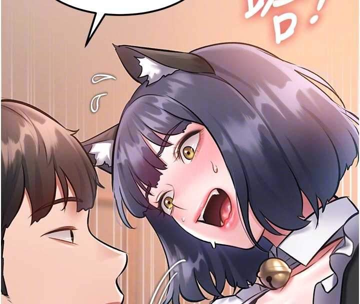 特色新視界第17話-馴服野貓守則