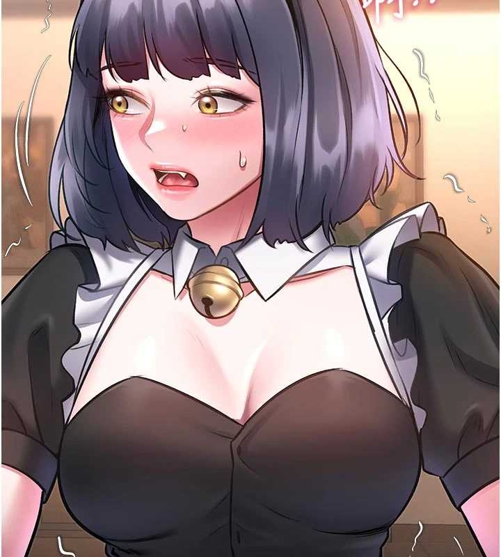 特色新視界第17話-馴服野貓守則