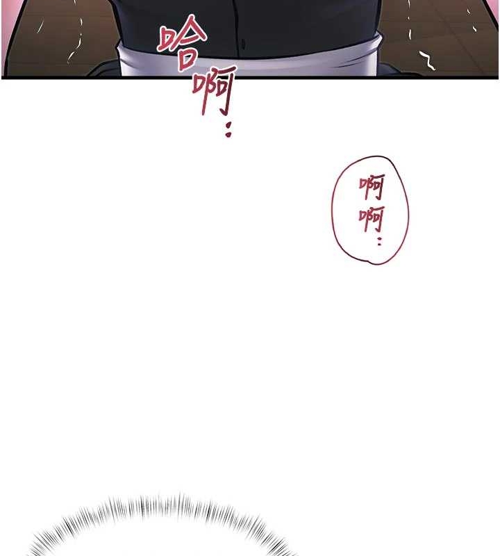 特色新視界第17話-馴服野貓守則