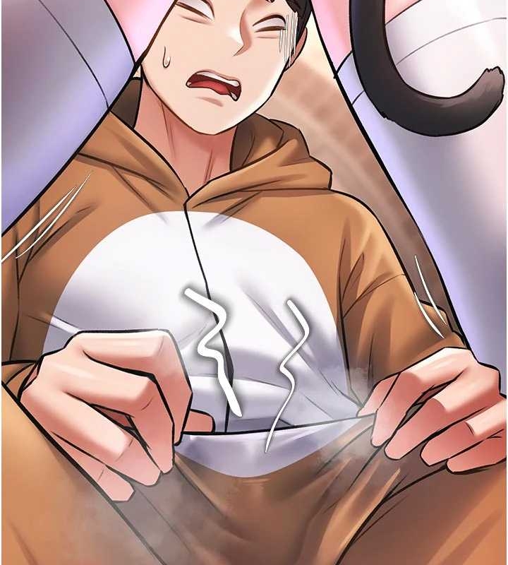 特色新視界第17話-馴服野貓守則