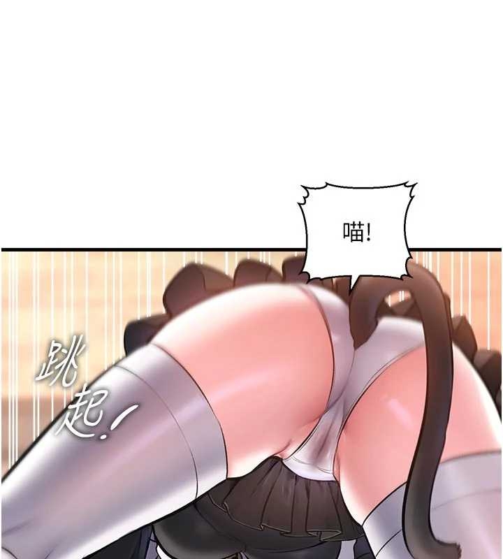 特色新視界第17話-馴服野貓守則