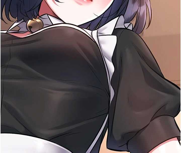 特色新視界第17話-馴服野貓守則