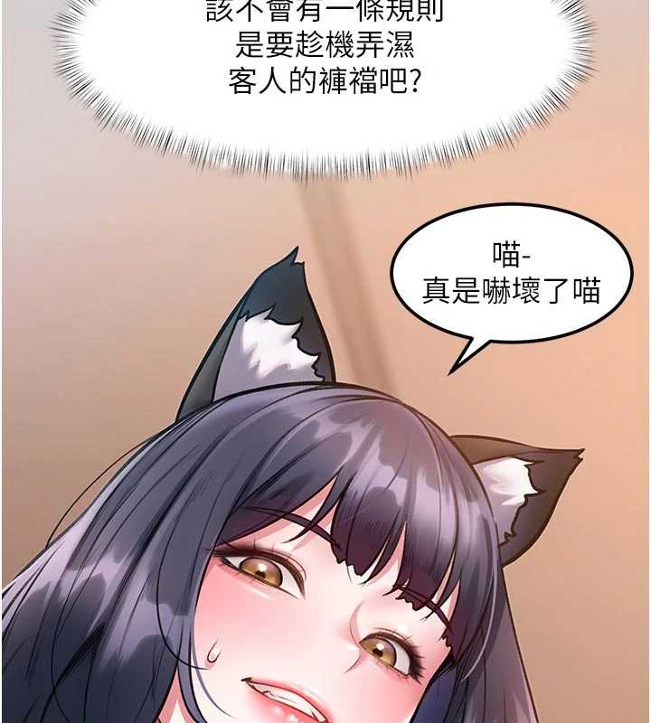 特色新視界第17話-馴服野貓守則