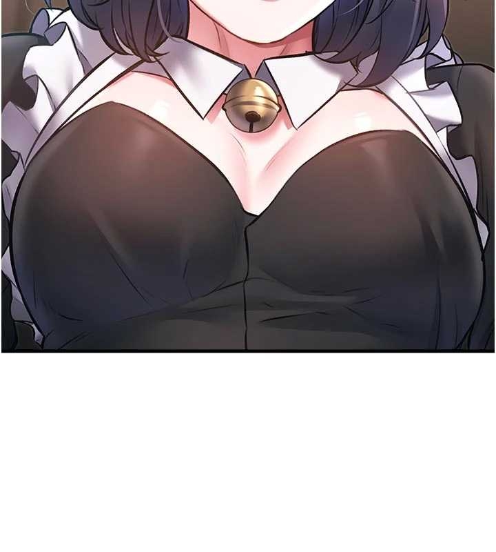 特色新視界第17話-馴服野貓守則