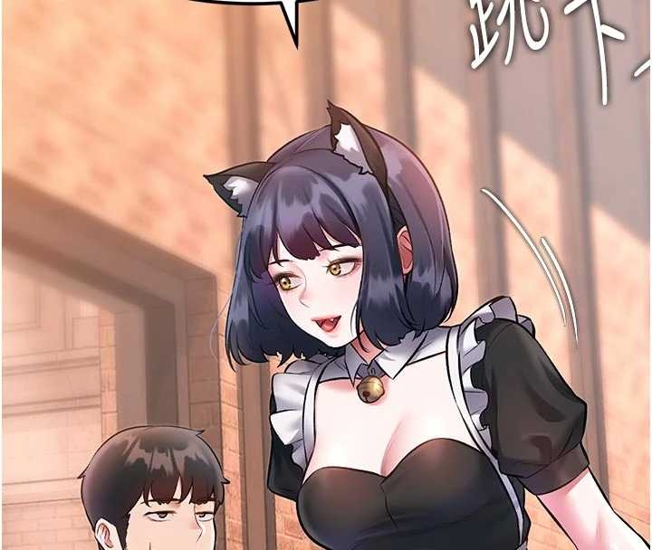 特色新視界第17話-馴服野貓守則