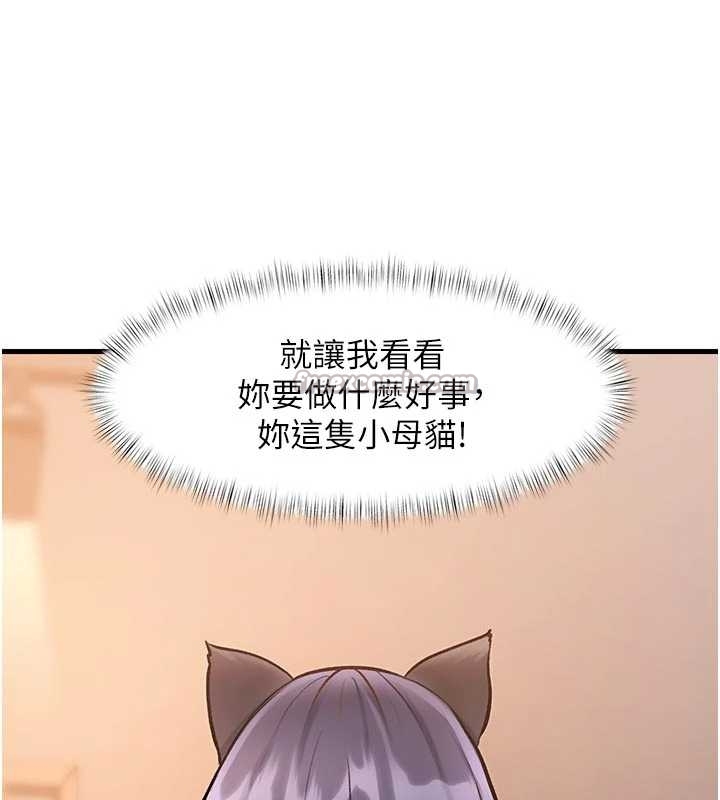 特色新視界第17話-馴服野貓守則