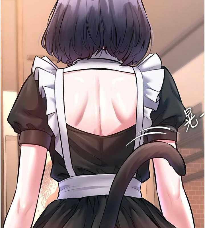 特色新視界第17話-馴服野貓守則