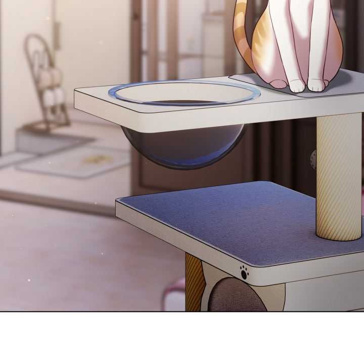 喵來的戀愛第49話