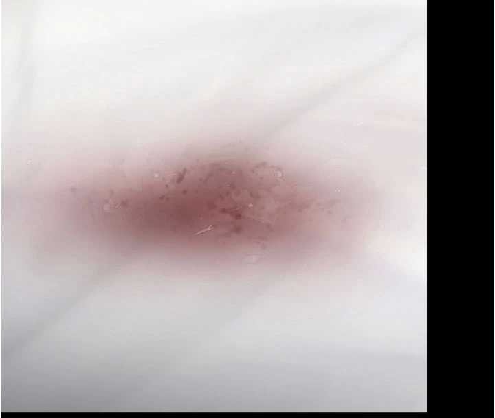 守護妳第13話-檢察官出身的高級妓女