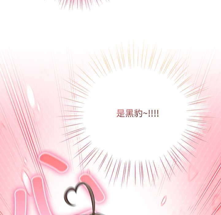 喵来的恋爱第50話