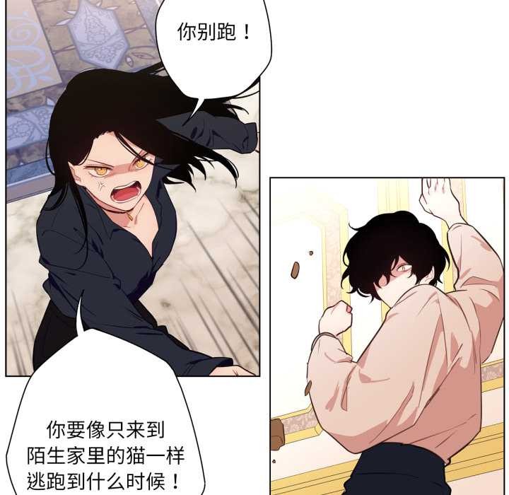 吉赛儿之血第33話