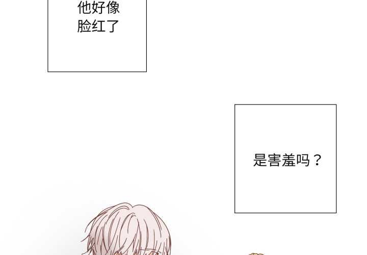 纯洁之罪第36話