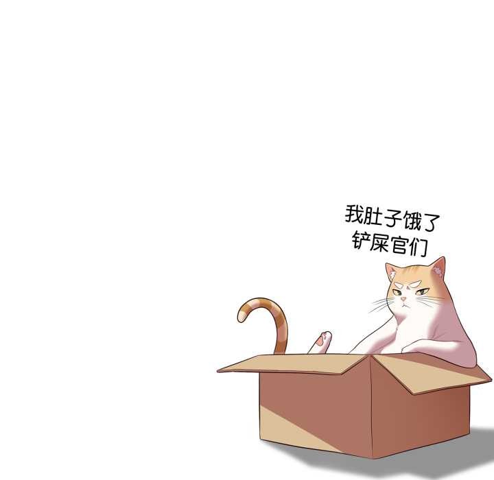 喵来的恋爱第52話