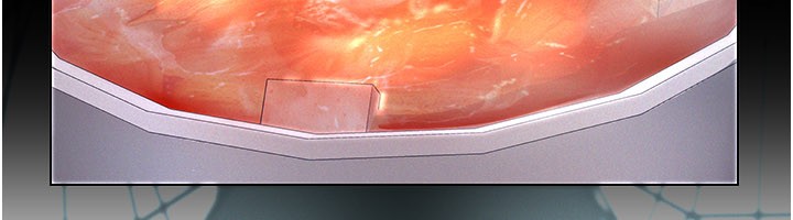 义父第3话-渴望自由的笼中鸟