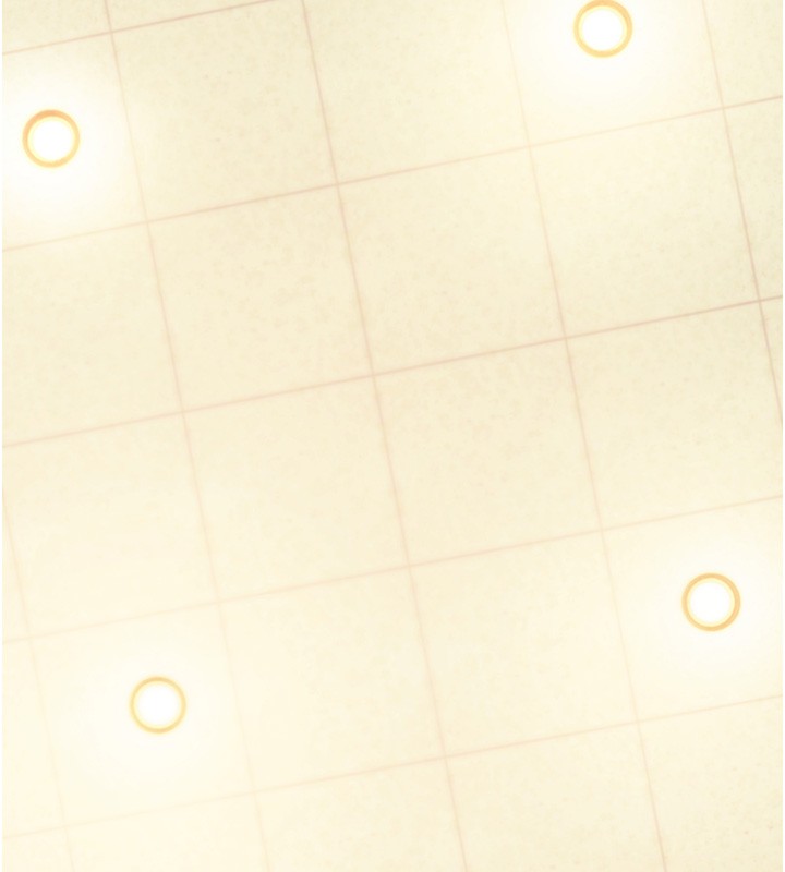 拜脱拜脱App第54話-發洩不完的精力