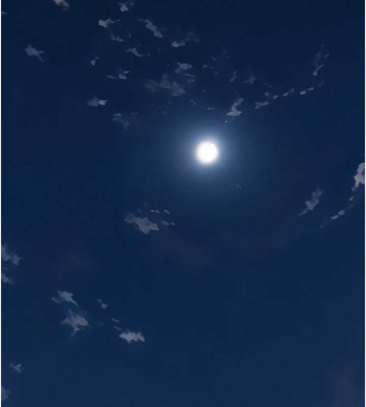 義父第12話-掏空計畫開始 第175頁