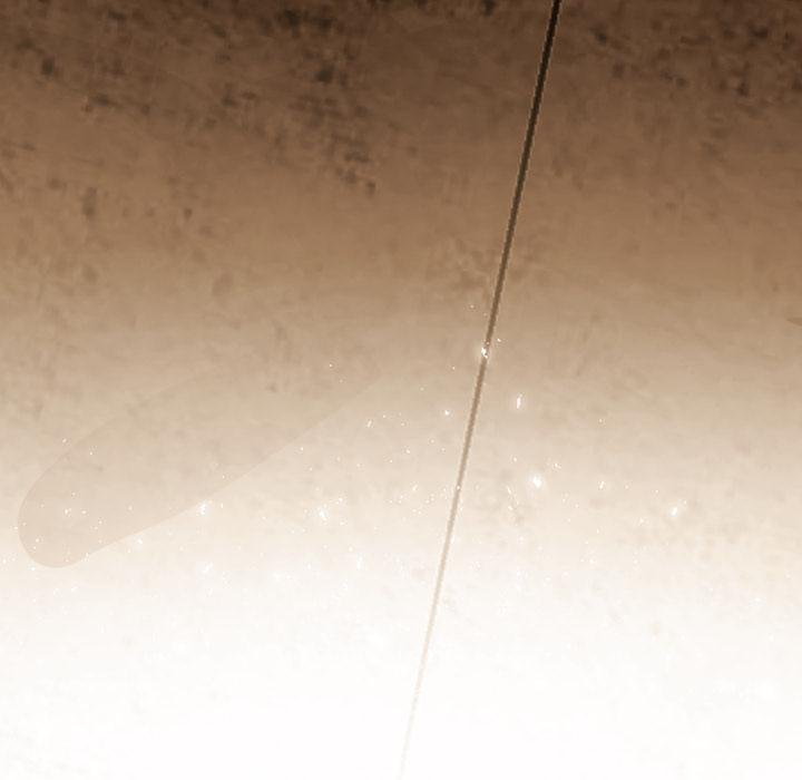 黑幫千金養成記第20話 第65頁